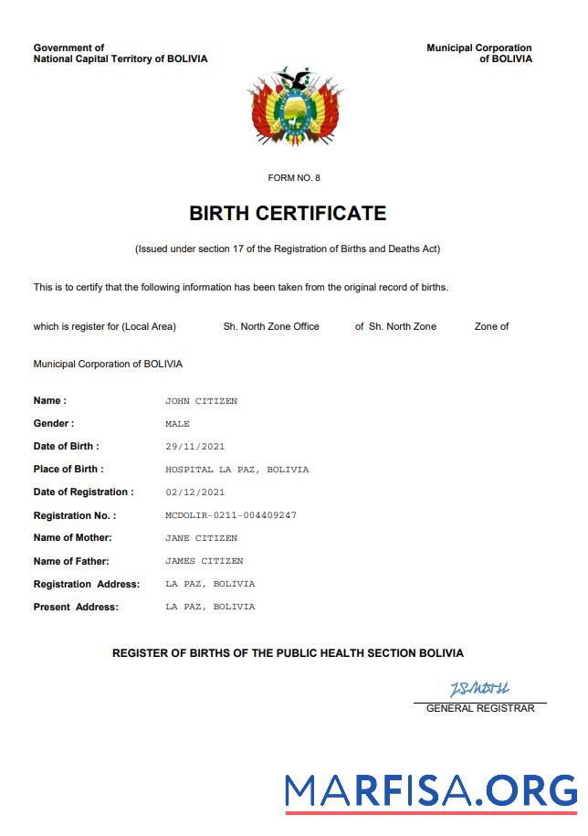 Hohe Qualität Bolivien vital record Geburt Zertifikat Word and PDF Vorlage