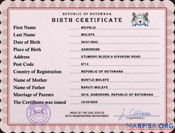 Realistisch Botswana vital record Geburt Zertifikat PSD Vorlage
