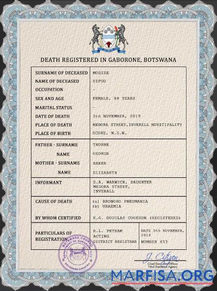 Hohe Qualität Botswana vital record Tod Zertifikat PSD Vorlage