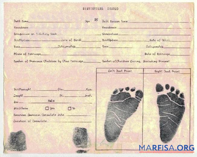 Zertifikat of Geburt statistical record Design