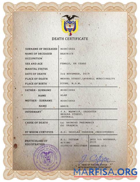Realistisch Kolumbien vital record Tod Zertifikat PSD Vorlage