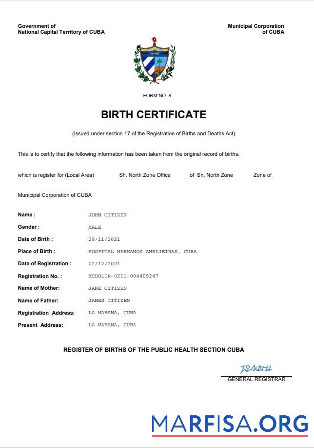 Realistisch Kuba vital record Geburt Zertifikat Word and PDF Vorlage