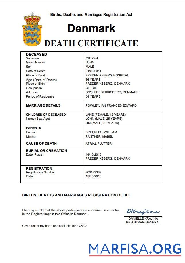 Professionell Dänemark vital record Tod Zertifikat Word and PDF Vorlage