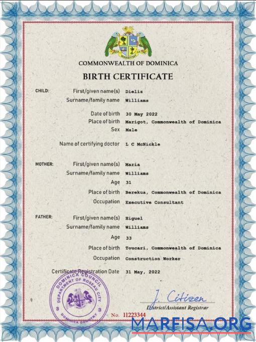 Premium Dominica vital record Geburt Zertifikat PSD Vorlage