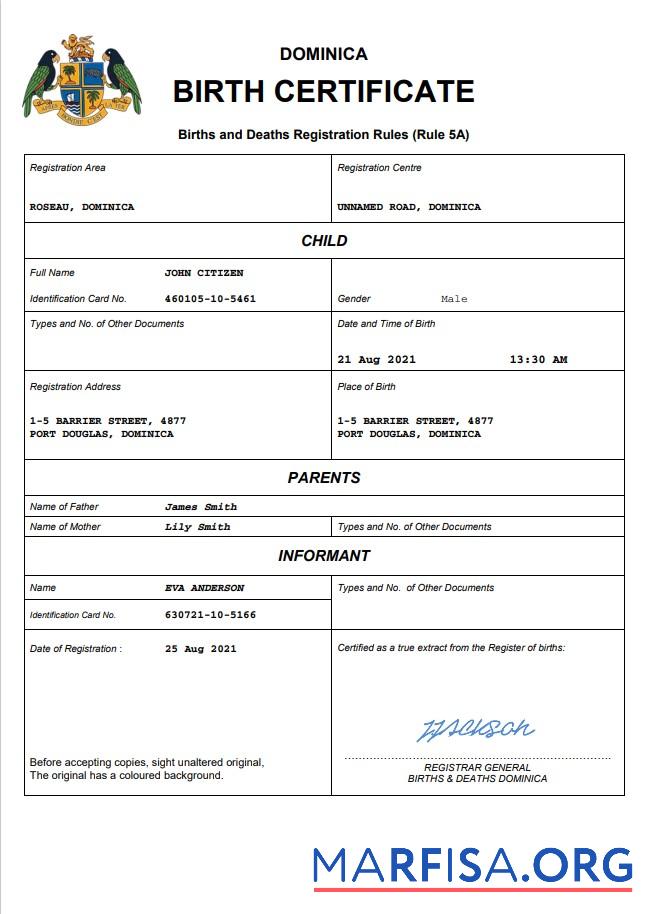 Professionell Dominica vital record Geburt Zertifikat Word and PDF Vorlage