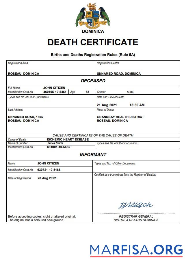 Premium Dominica vital record Tod Zertifikat Word and PDF Vorlage