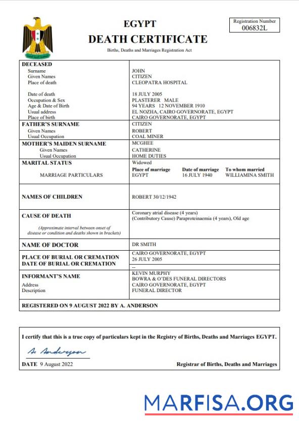 Professionell Ägypten vital record Tod Zertifikat Word and PDF Vorlage