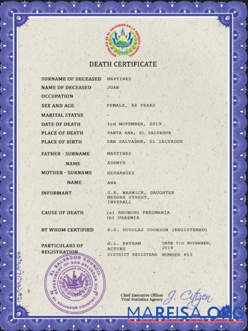 Premium El Salvador vital record Tod Zertifikat PSD Vorlage