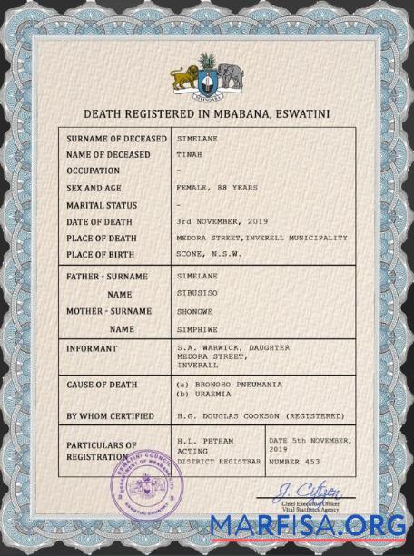 Professionell Eswatini vital record Tod Zertifikat PSD Vorlage