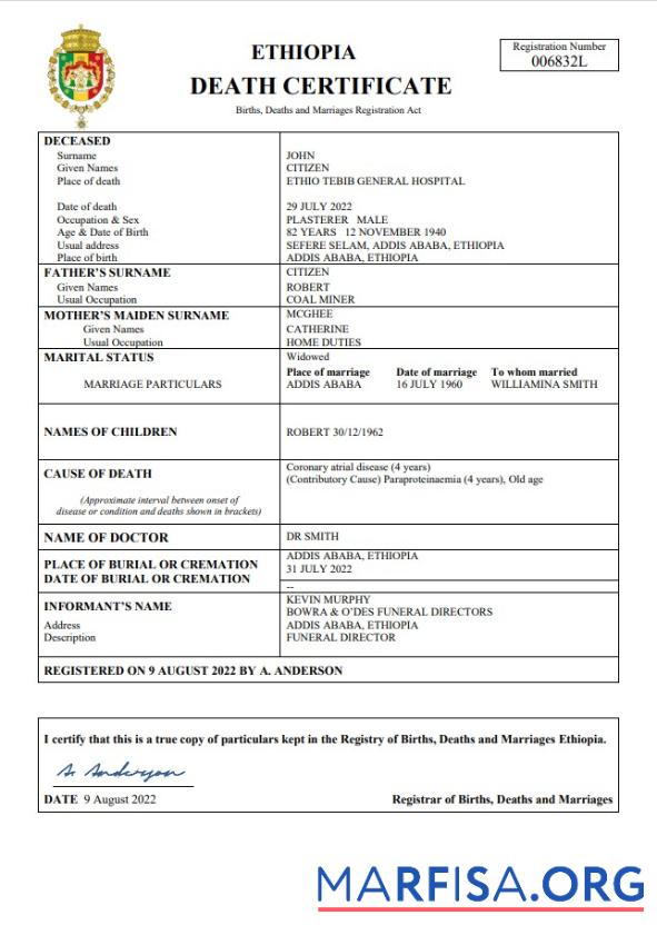 Hohe Qualität Äthiopien vital record Tod Zertifikat Word and PDF Vorlage