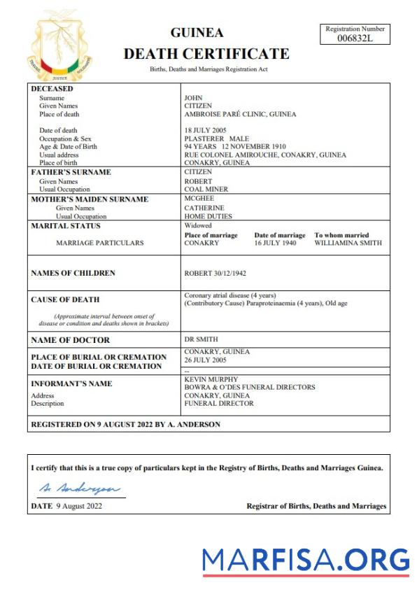 Professionell Guinea Tod Zertifikat Word and PDF Vorlage,