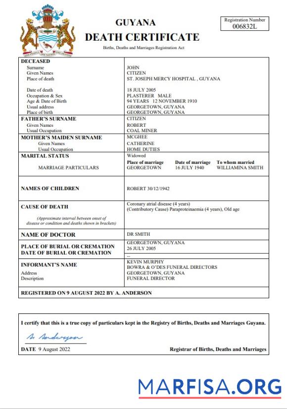 Hohe Qualität Guyana Tod Zertifikat Word and PDF Vorlage