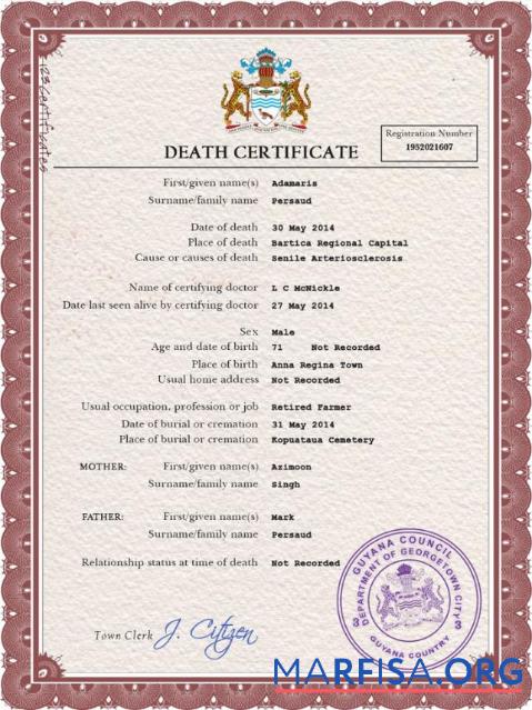 Premium Guyana vital record Tod Zertifikat PSD Vorlage