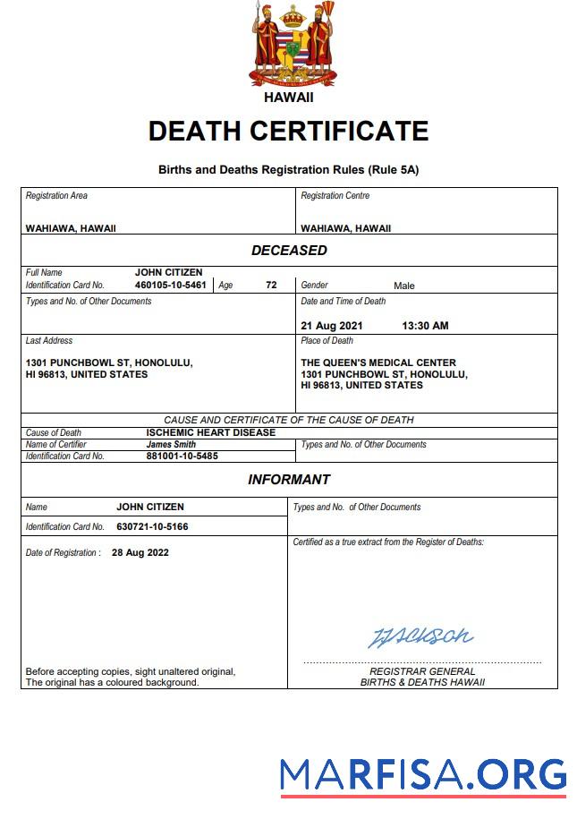 Professionell Hawaii Tod Zertifikat Word and PDF Vorlage
