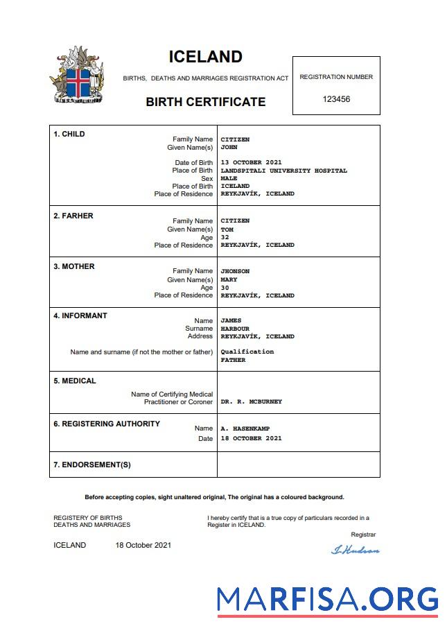 Island Geburt Zertifikat Word and PDF Probe