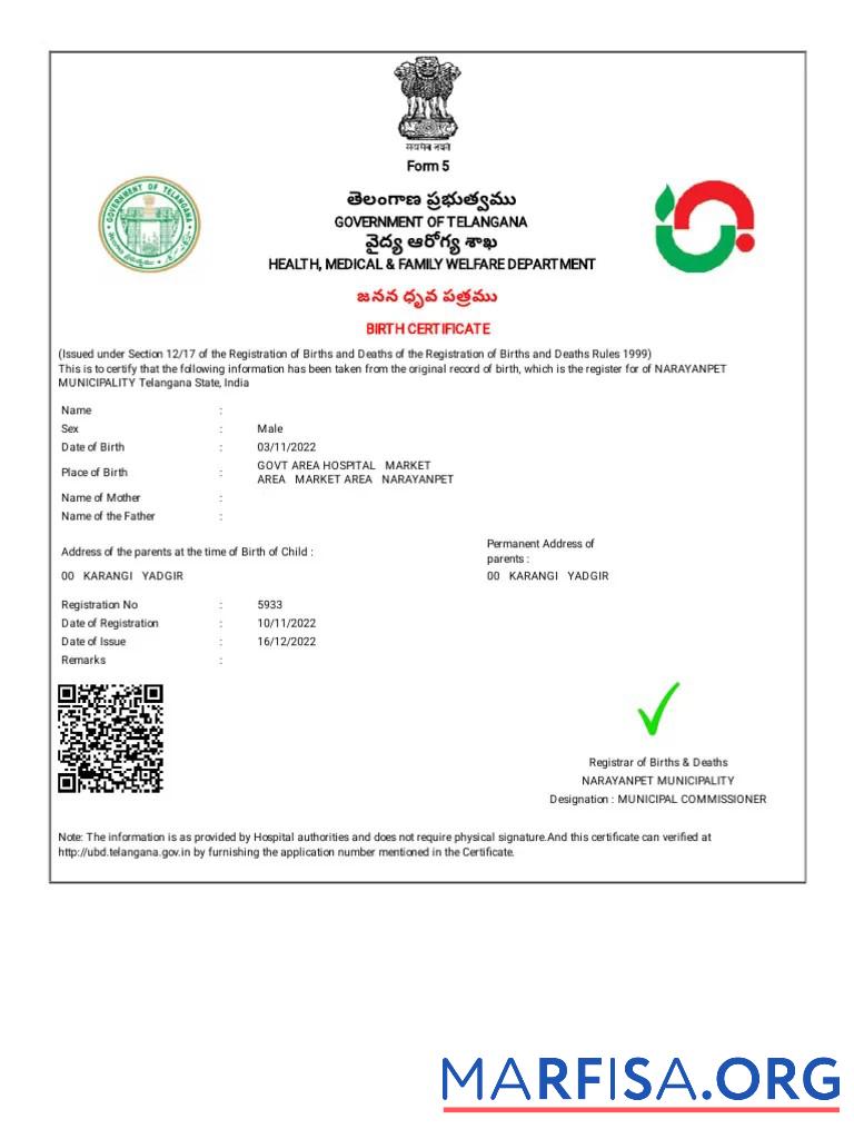 Indien Department of Gesundheit, Medizinisch and family welfare Geburt Zertifikat Vorlage