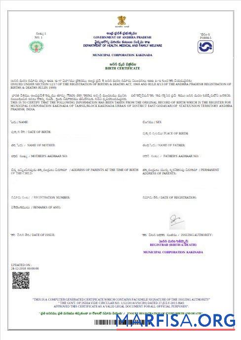 Indien Government of Andhra Pradesh Geburt Zertifikat Vorschau