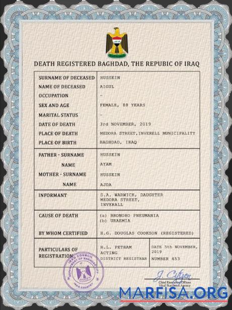 Professionell Irak vital record Tod Zertifikat PSD Vorlage
