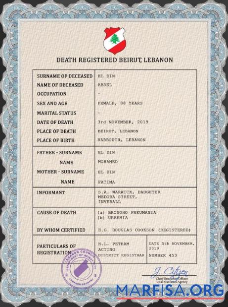 Professionell Libanon vital record Tod Zertifikat PSD Vorlage