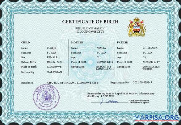 Hohe Qualität Malawi vital record Geburt Zertifikat PSD Vorlage