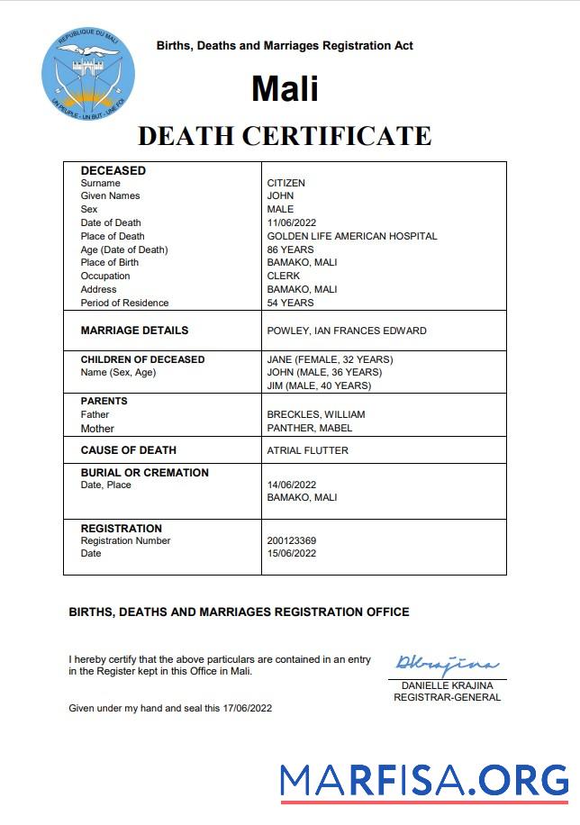 Professionell Mali vital record Tod Zertifikat Word and PDF Vorlage