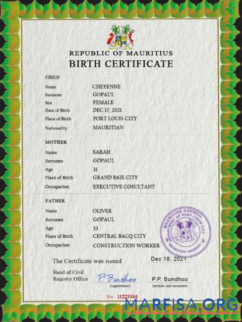Professionell Mauritius vital record Geburt Zertifikat PSD Vorlage