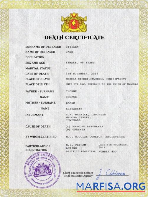 Professionell Myanmar Tod Zertifikat PSD Vorlage