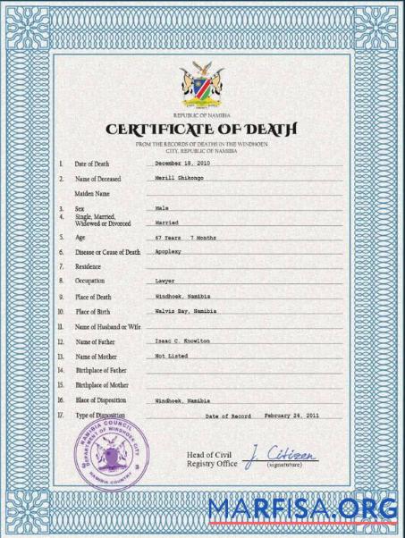 Realistisch Namibia vital record Tod Zertifikat PSD Vorlage
