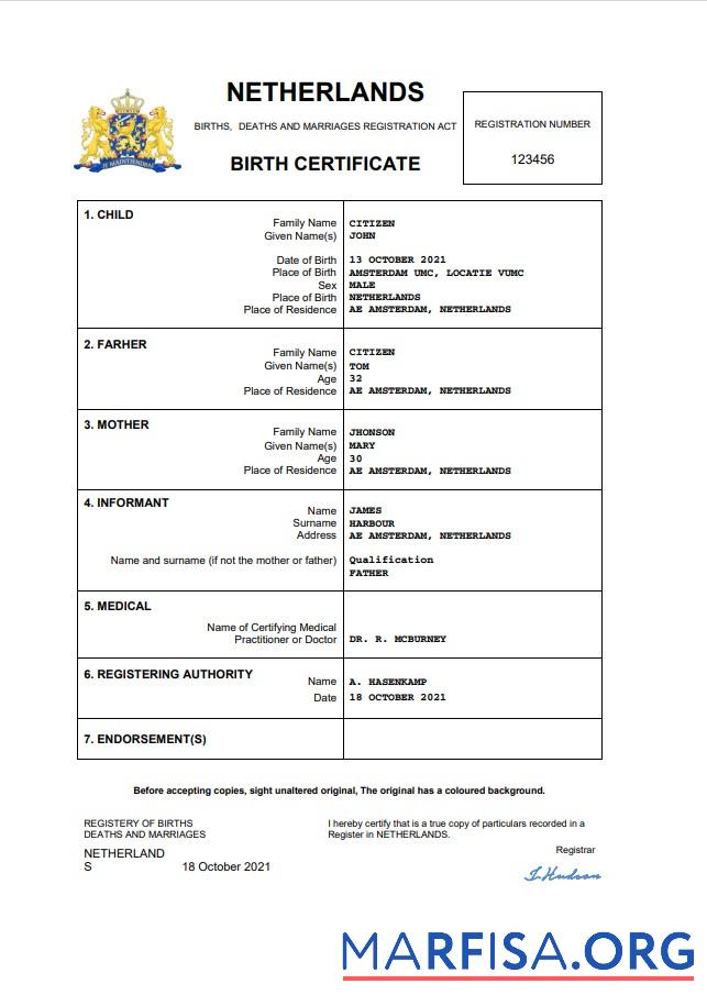 Premium Niederlande vital record Geburt Zertifikat Word and PDF Vorlage