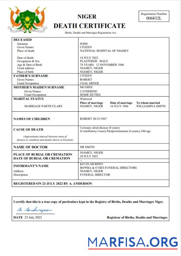 Bearbeitbar Niger Tod Zertifikat Word and PDF Vorlage