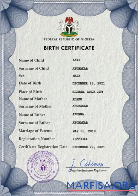 Professionell Nigeria vital record Geburt Zertifikat PSD Vorlage