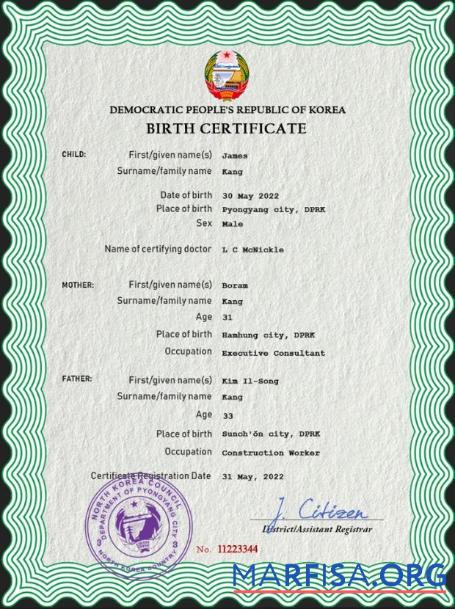 Bearbeitbar Nordkorea Geburt Zertifikat PSD Vorlage