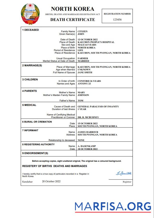 Hohe Qualität Nordkorea vital record Tod Zertifikat Word and PDF Vorlage