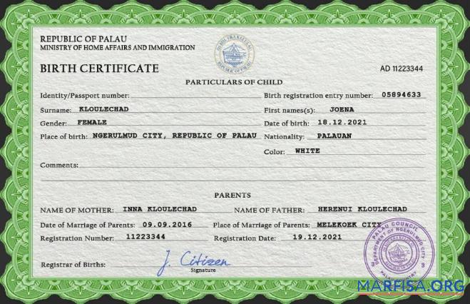 Professionell Palau Geburt Zertifikat PSD Vorlage