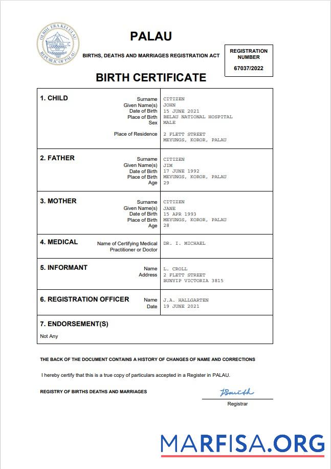 Professionell Palau Geburt Zertifikat Word and PDF Vorlage