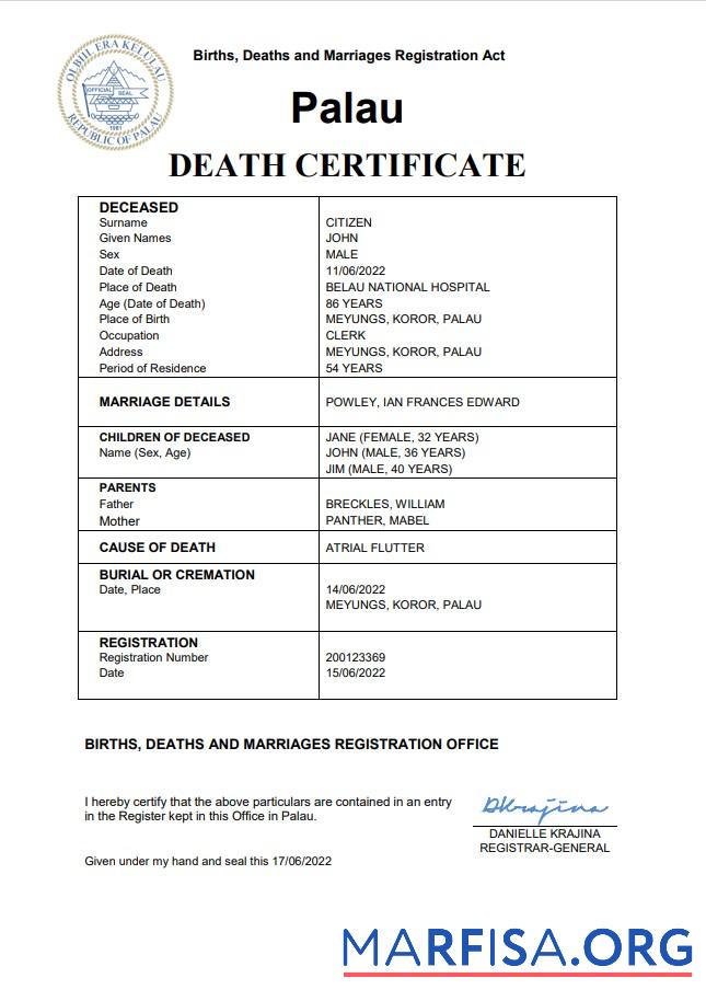 Bearbeitbar Palau vital record Tod Zertifikat Word and PDF Vorlage