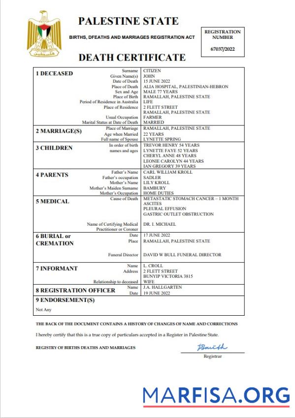 Realistisch Palästina vital record Tod Zertifikat Word and PDF Vorlage