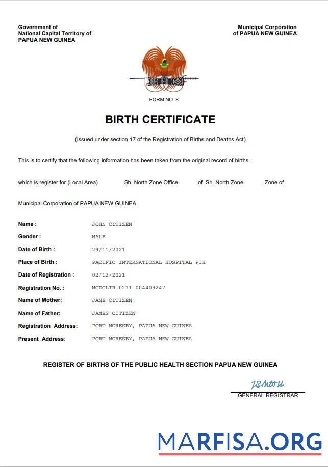 Professionell Papua-Neuguinea vital record Geburt Zertifikat Word and PDF Vorlage
