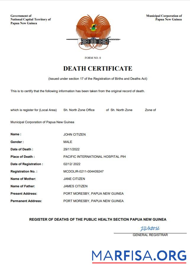Professionell Papua-Neuguinea vital record Tod Zertifikat Word and PDF Vorlage