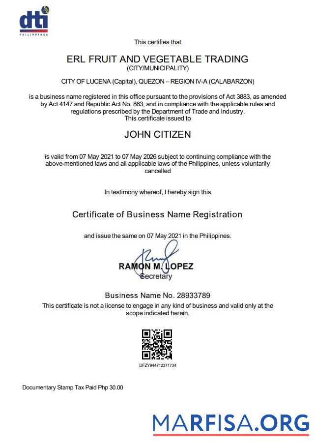 Philippinen Department of Trade and Industry (DTI) private interprenour Design