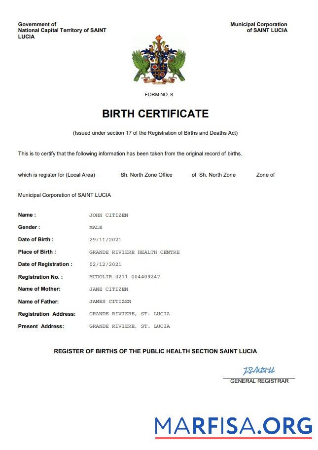 Hohe Qualität Saint Lucia Geburt Zertifikat Word and PDF Vorlage
