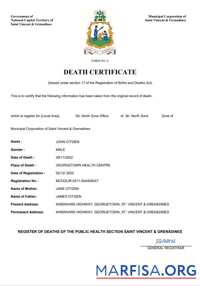 Professionell Saint Vincent and the Grenadines vital record Tod Zertifikat Word and PDF Vorlage