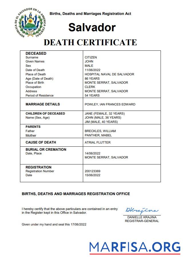 Professionell Salvador vital record Tod Zertifikat Word and PDF Vorlage
