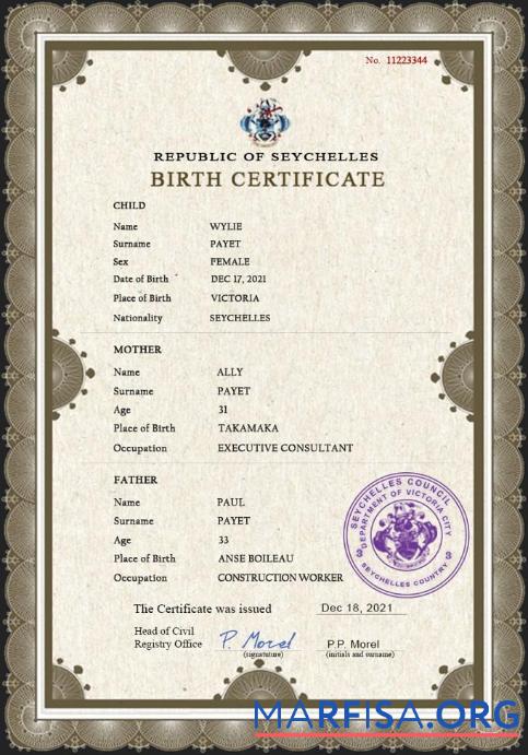 Realistisch Seychellen vital record Geburt Zertifikat PSD Vorlage