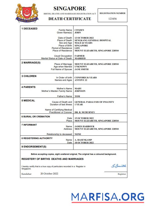 Hohe Qualität Singapur vital record Tod Zertifikat Word and PDF Vorlage