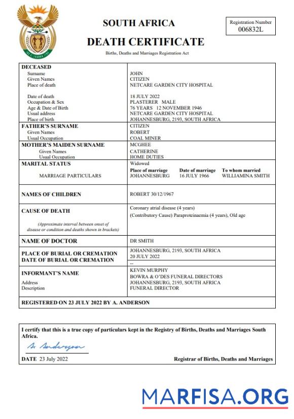 Professionell Südafrika Tod Zertifikat Word and PDF Vorlage