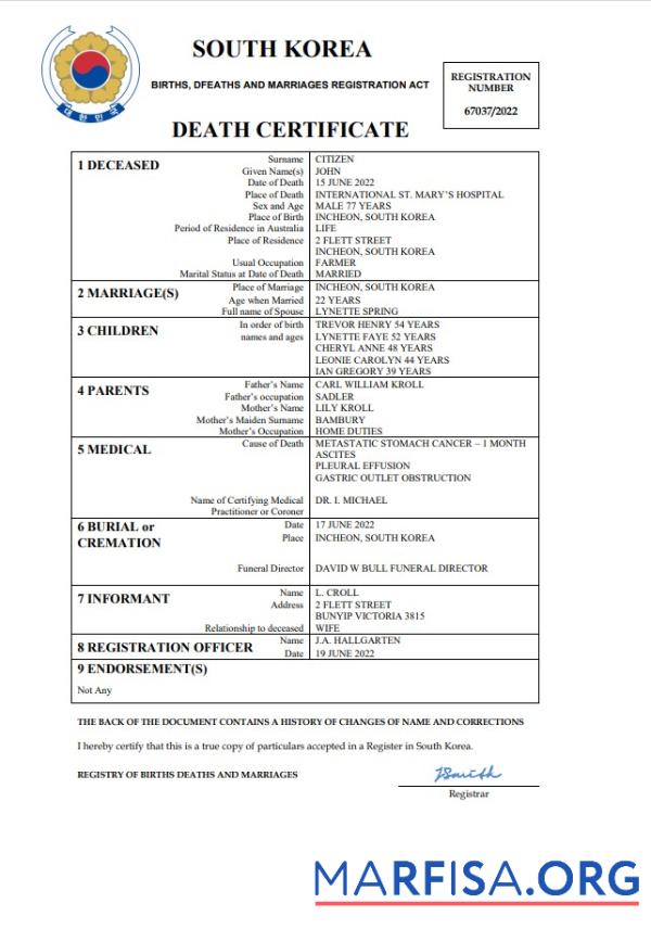 Premium Südkorea vital record Tod Zertifikat Word and PDF Vorlage