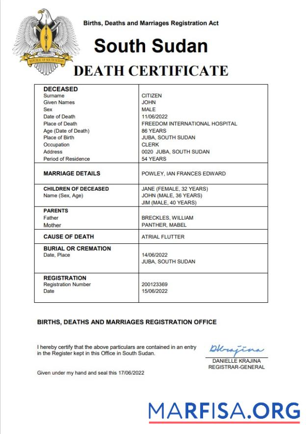 Premium Südsudan vital record Tod Zertifikat Word and PDF Vorlage