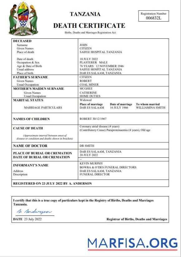 Professionell Tansania vital record Tod Zertifikat Word and PDF Vorlage