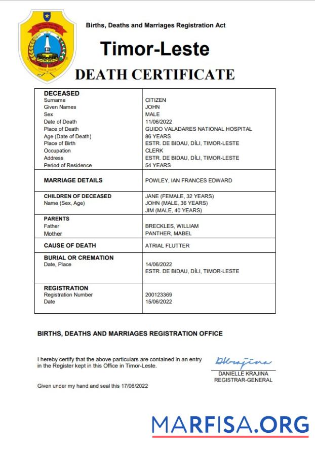 Professionell Timor Leste vital record Tod Zertifikat Word and PDF Vorlage